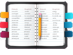 Vocabulary notebook