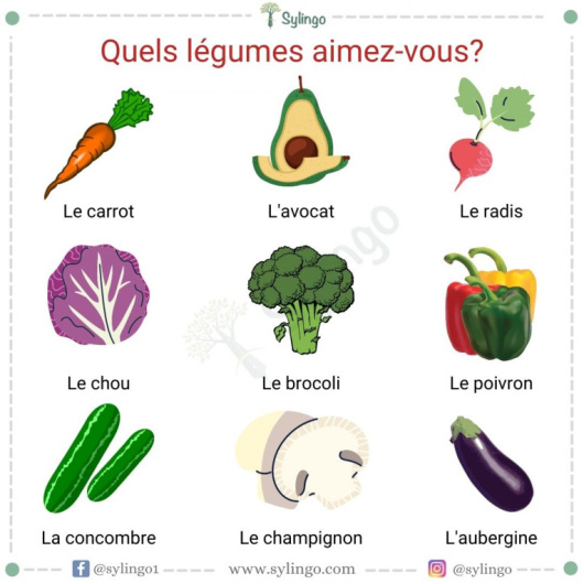 Les légumes (2)