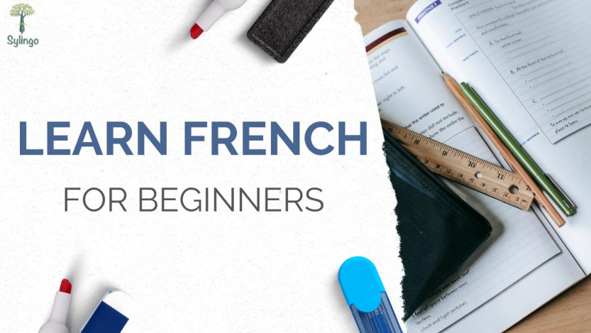 Learn french for beginners | Sylingo