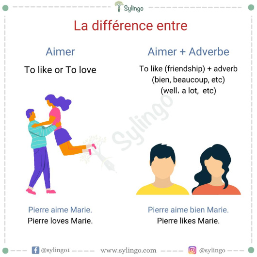 Aimer vs Aimer + Adverbe in French: Exploring Expressions of Preferences