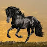 User_115491