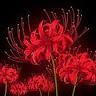 User_122443