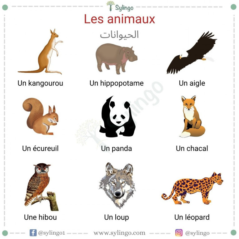 Les animaux