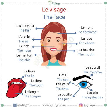 Le Visage - The Face