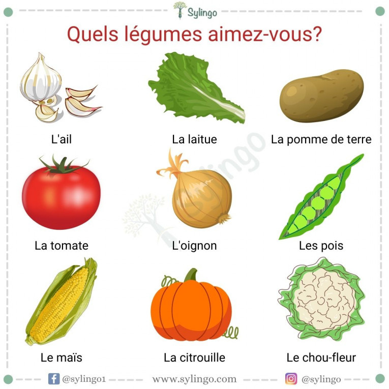 الخضراوات في اللغة الفرنسية