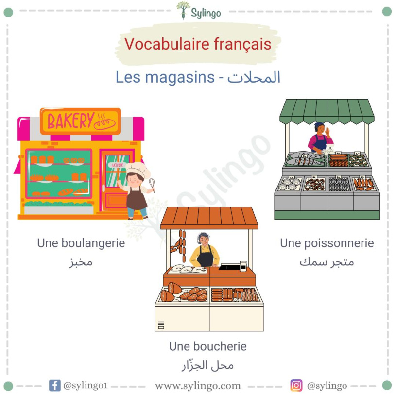 Les magasins - المحلات