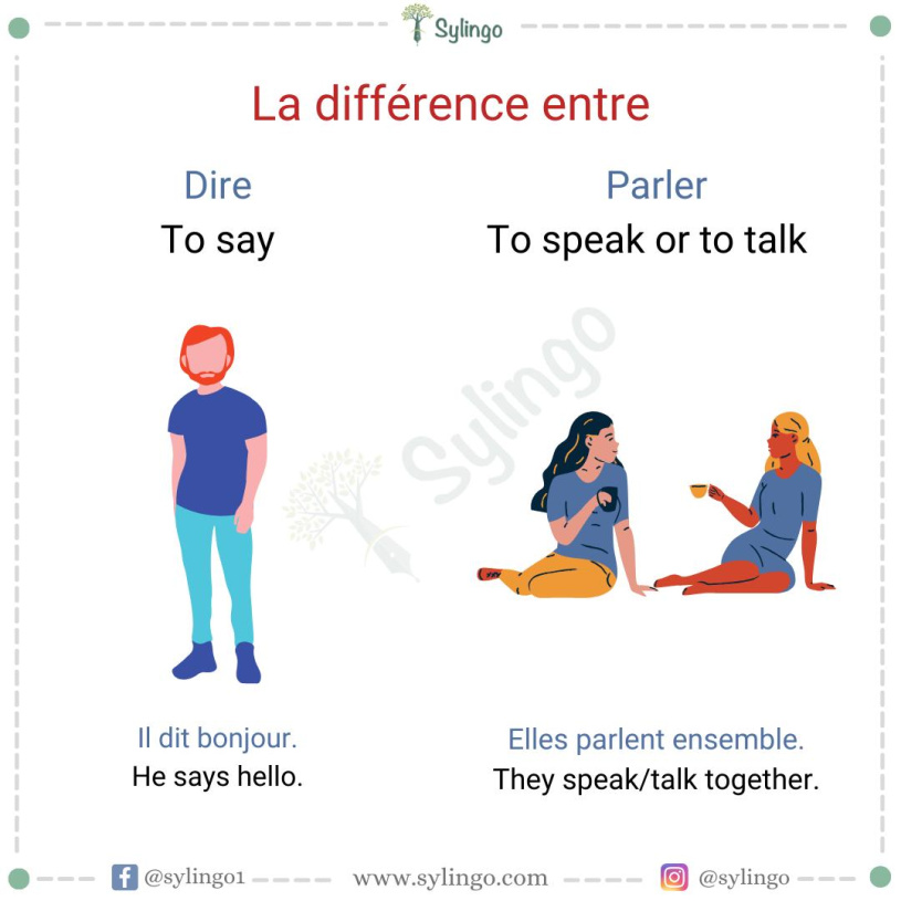 The Distinction Between 'Dire' and 'Parler' in French