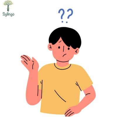 قواعد اللغة الفرنسية