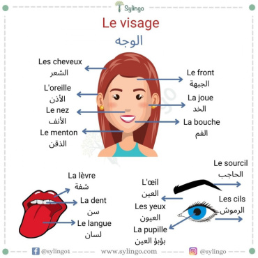 le visage