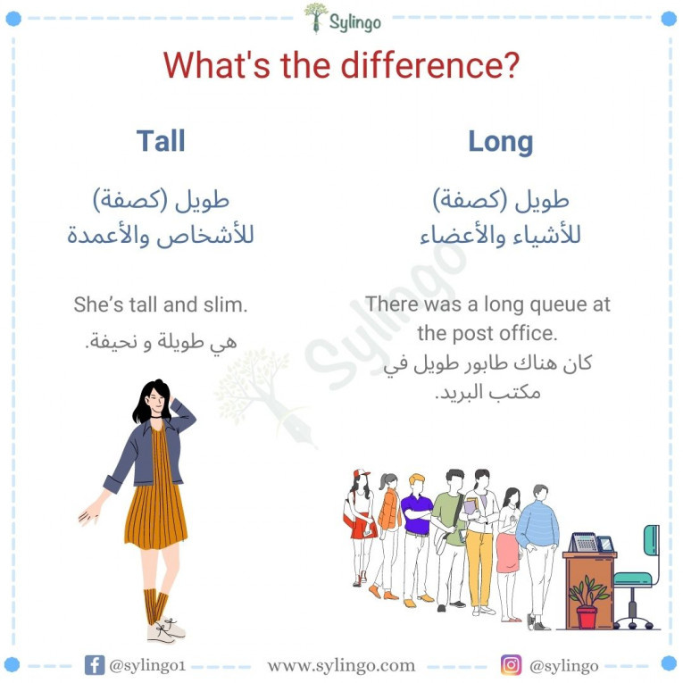 الفرق بين Long و Tall