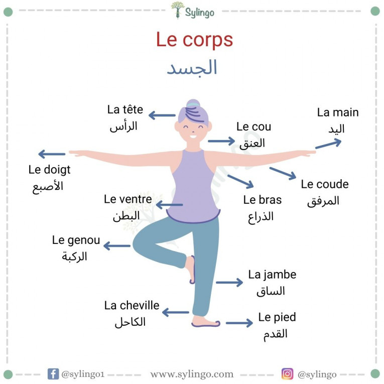 Le corps