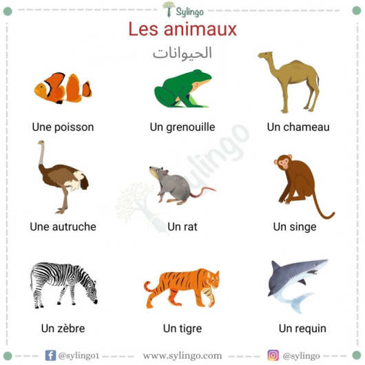 Les animaux