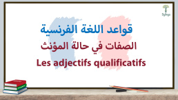 الصفات في حالة المؤنث في اللغة الفرنسية