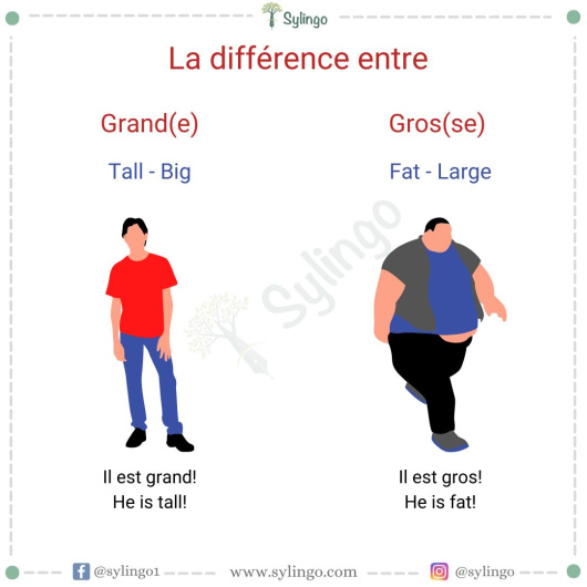 The Difference between 'Grand' and 'Gros' in French