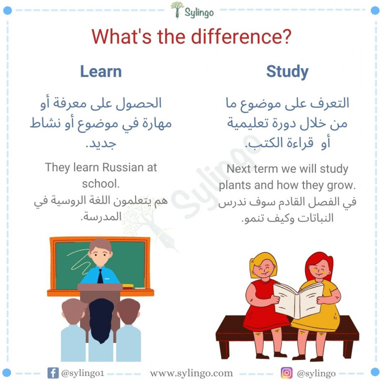 الفرق بين Study و Learn