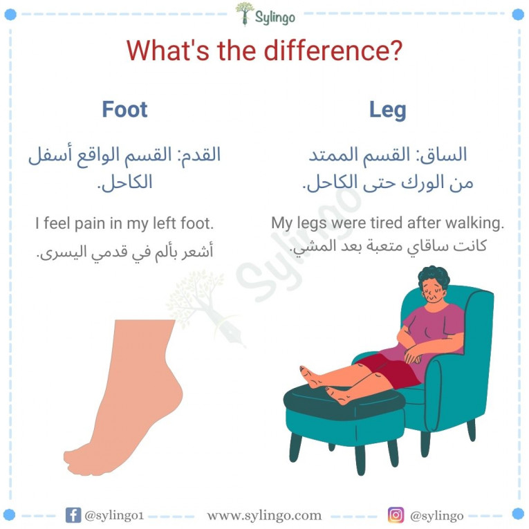 الفرق بين Leg و Foot