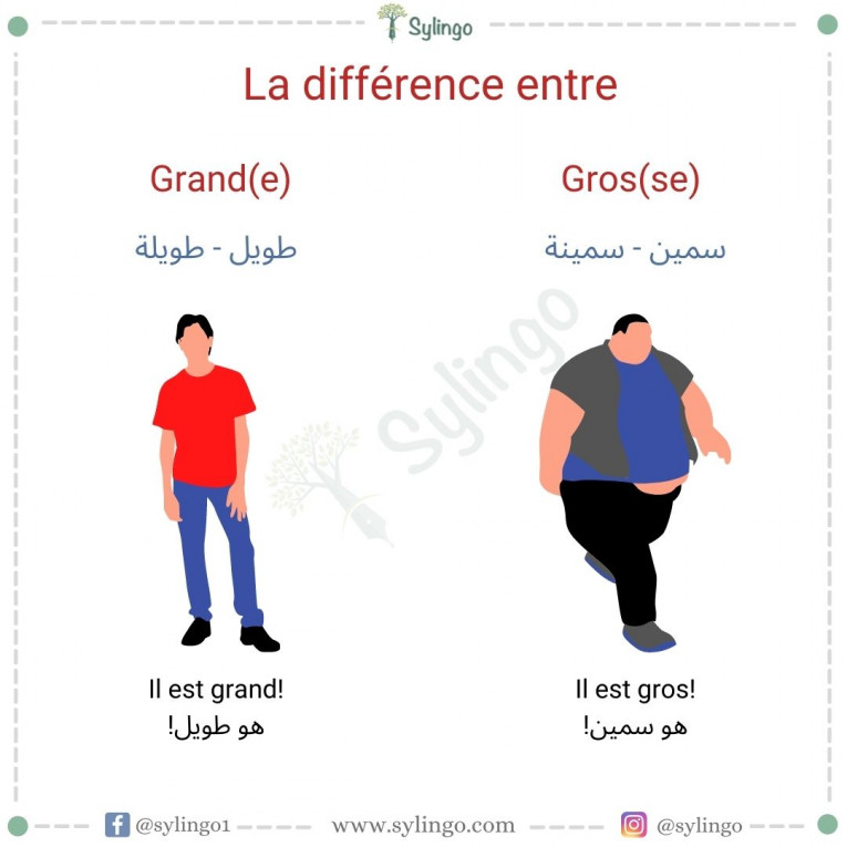 الفرق بين Grand(e) و Gros(se)